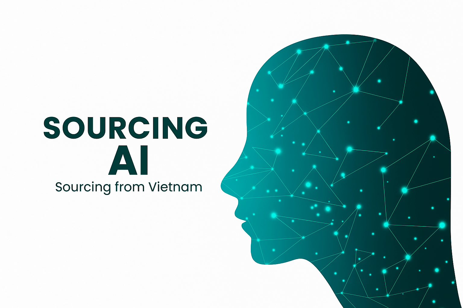 sourcing ai from vietnam